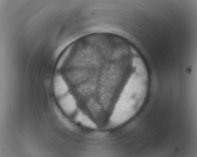 X0000115201513200911251430