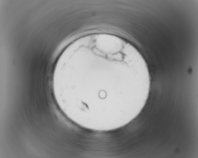 X0000115201514200911251430