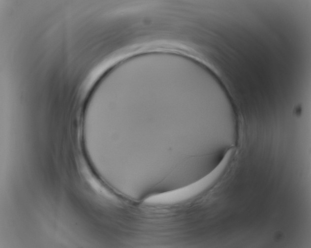 X0000115201515200911251430