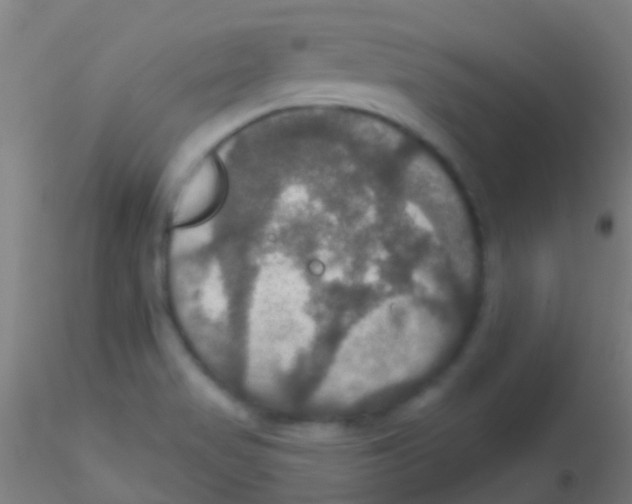 X0000115201517200911251430