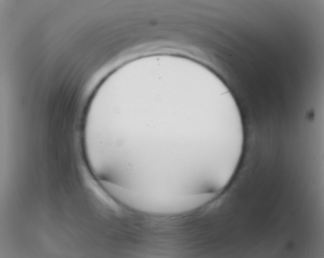 X0000115201518200911251430