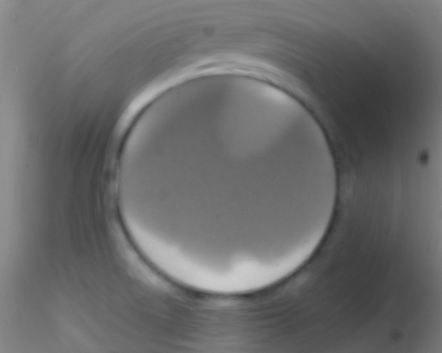 X0000115201522200911251430