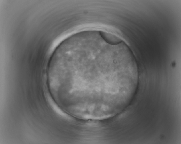 X0000115201523200911251430