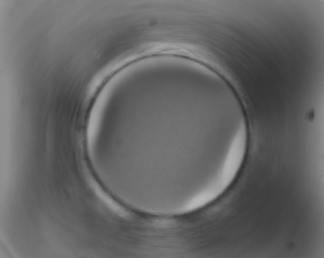 X0000115201525200911251430