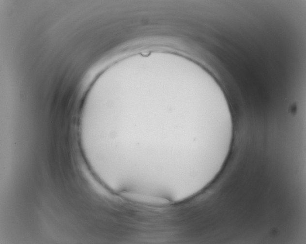 X0000115201526200911251430