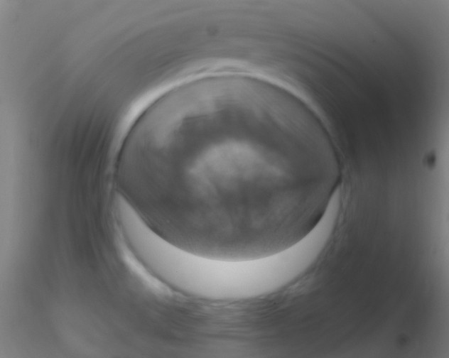 X0000115201527200911251430