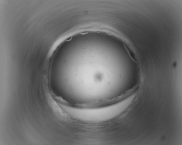 X0000115201530200911251430