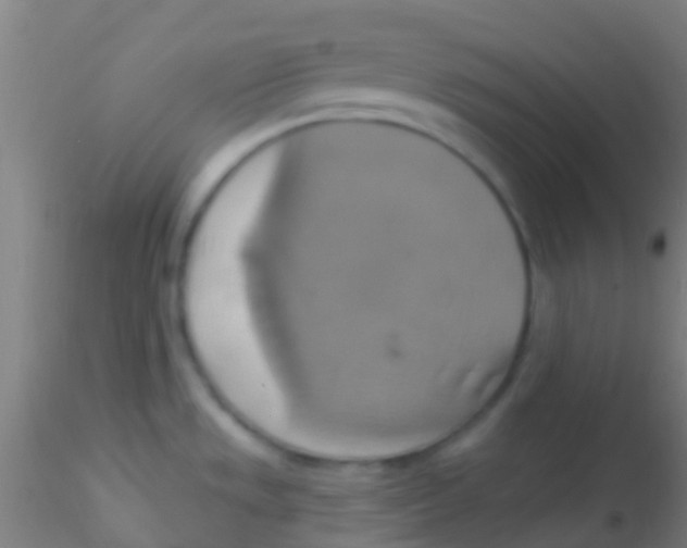 X0000115201533200911251431