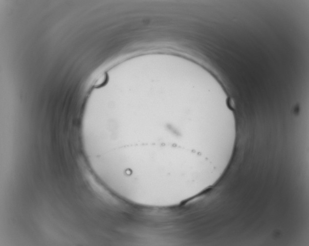 X0000115201534200911251431