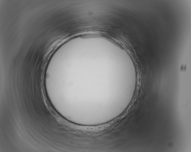 X0000115200001200912091145