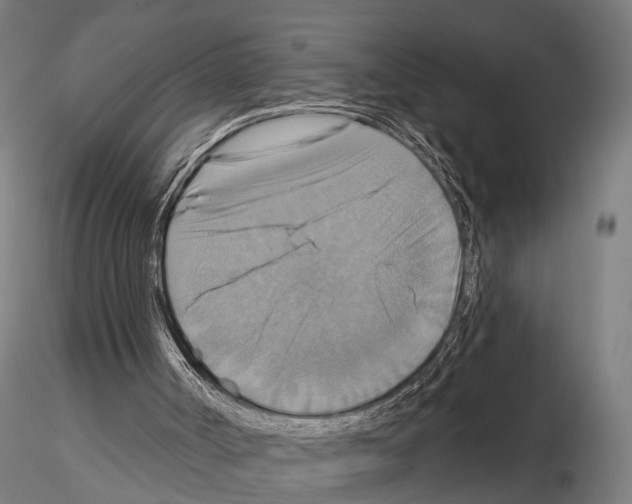 X0000115200002200912091145