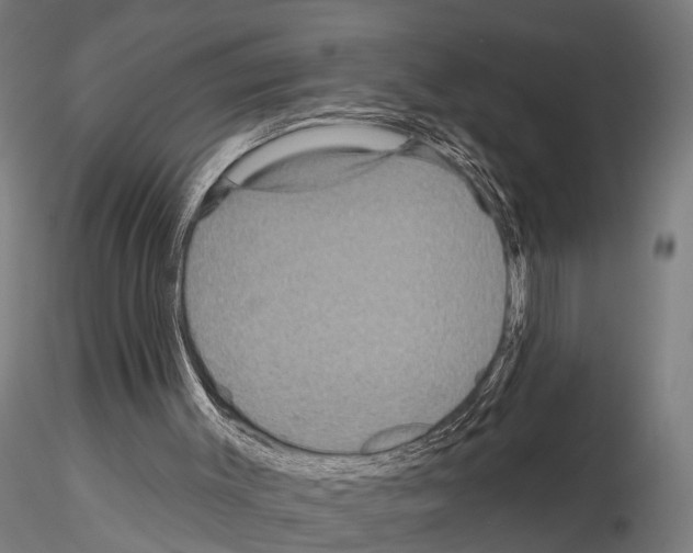 X0000115200003200912091145