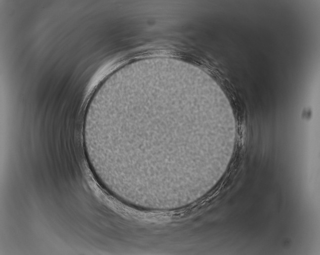 X0000115200004200912091145