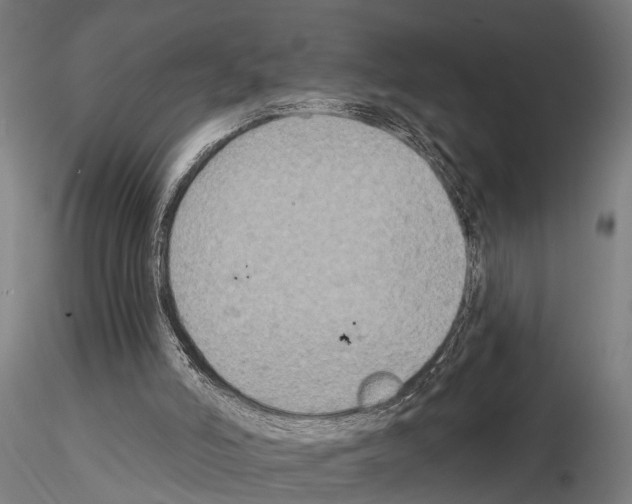 X0000115200006200912091145