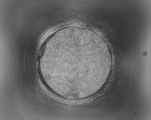 X0000115200007200912091145