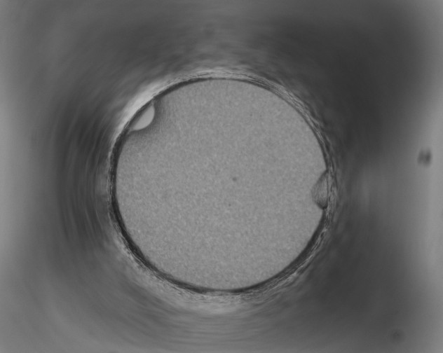 X0000115200008200912091145