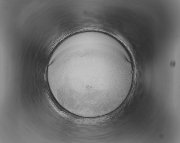 X0000115200009200912091145