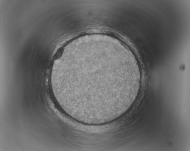 X0000115200010200912091145