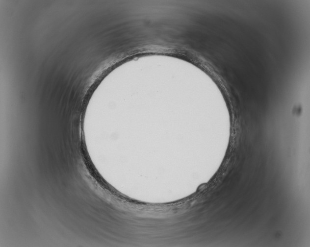 X0000115200011200912091145