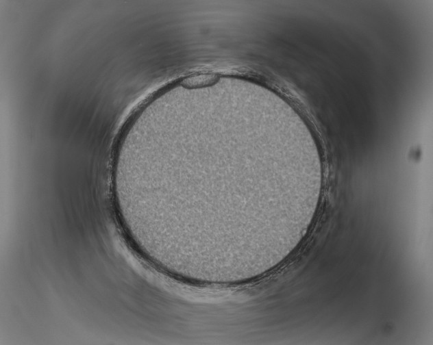 X0000115200012200912091145