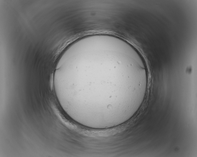 X0000115200013200912091145