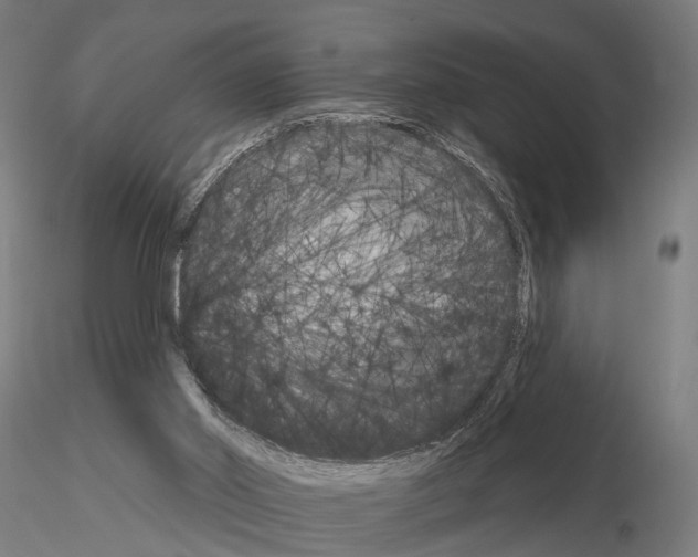 X0000115200014200912091145