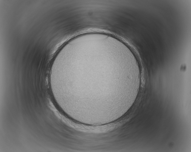 X0000115200015200912091145