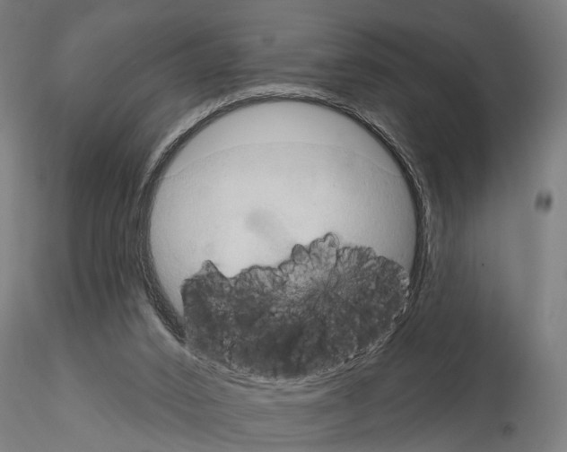 X0000115200016200912091145