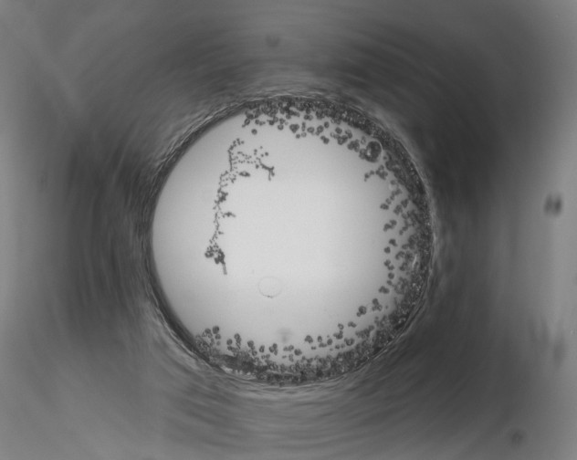 X0000115200017200912091145