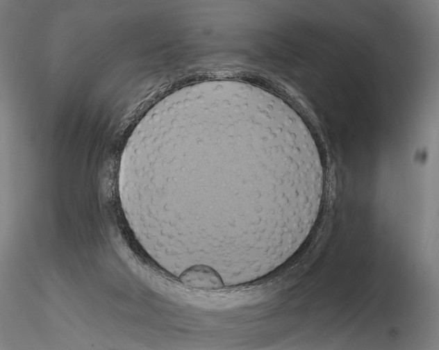 X0000115200018200912091145