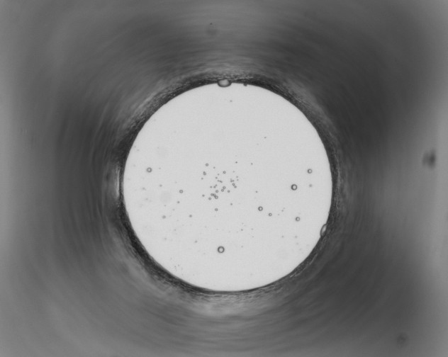 X0000115200021200912091145