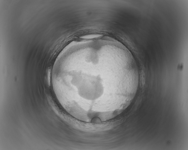 X0000115200022200912091145