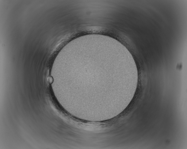 X0000115200024200912091145