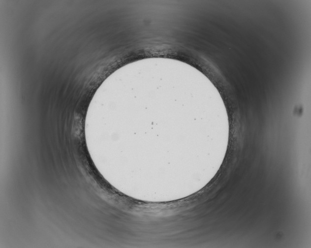 X0000115200025200912091145