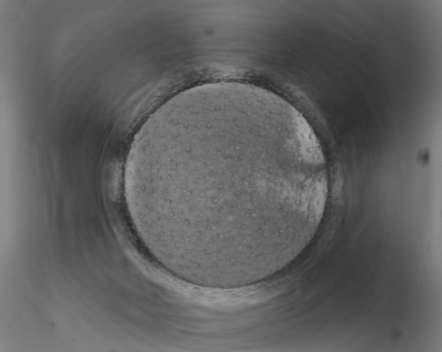 X0000115200026200912091145