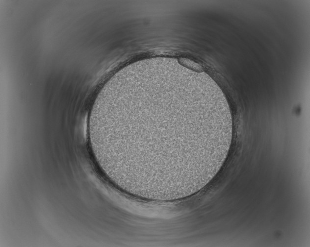 X0000115200028200912091145