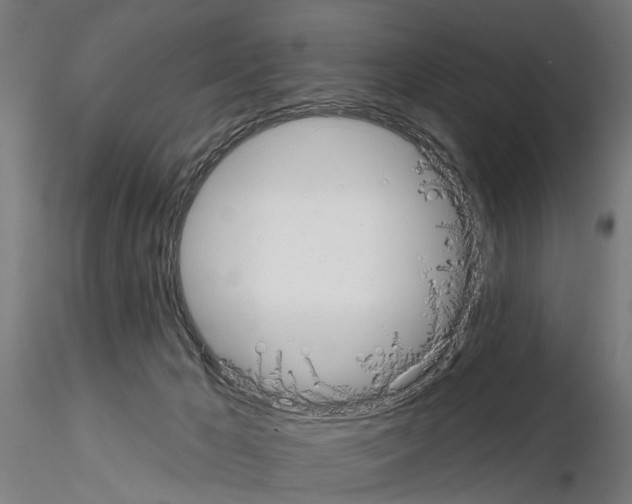 X0000115200029200912091145