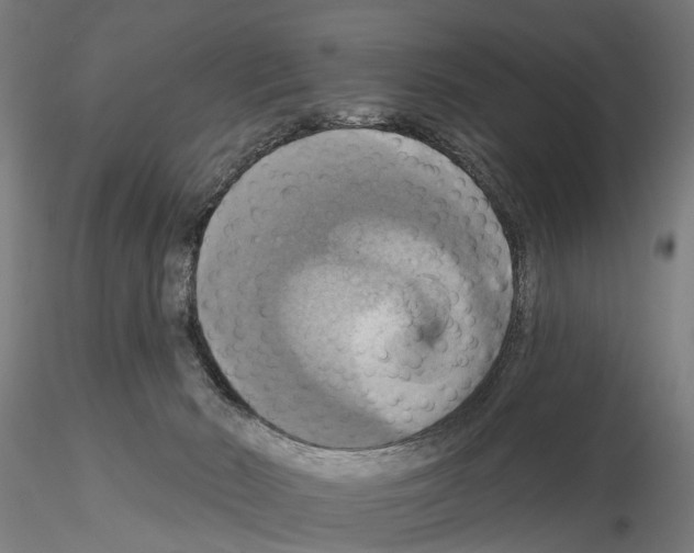 X0000115200030200912091145