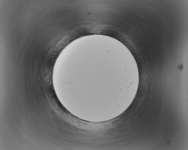 X0000115200031200912091145