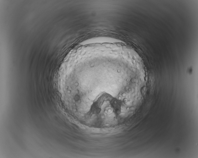 X0000115200034200912091145