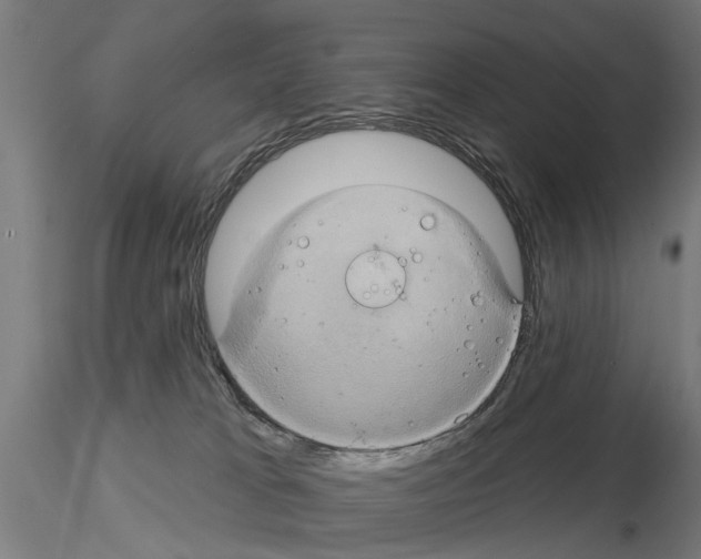 X0000115200037200912091145