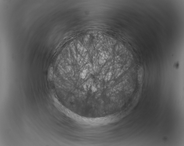 X0000115200038200912091145