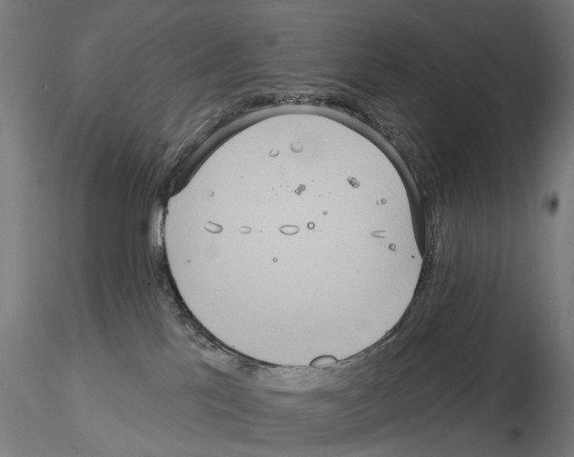 X0000115200041200912091145