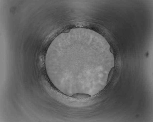 X0000115200043200912091145