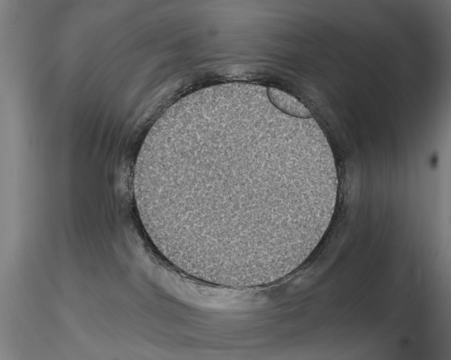 X0000115200044200912091145