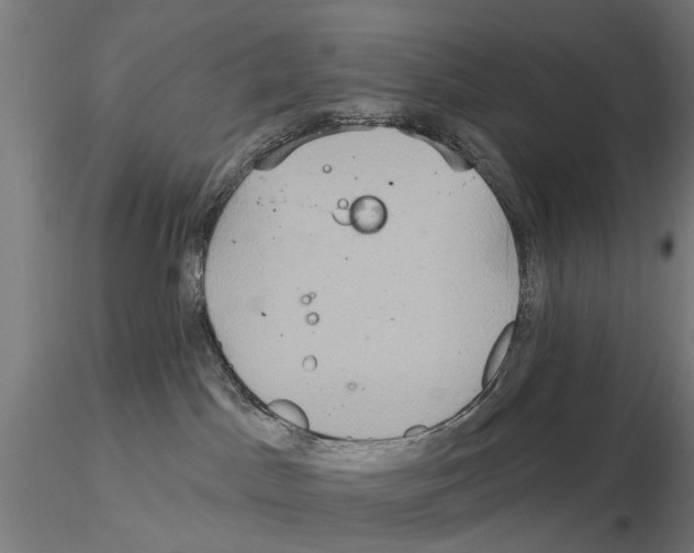 X0000115200045200912091145