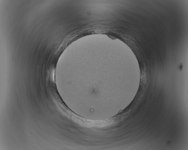 X0000115200046200912091145