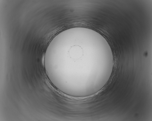 X0000115200047200912091145