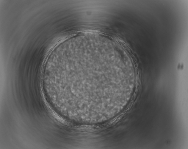 X0000115200049200912091144