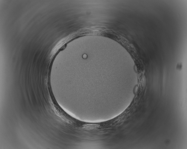 X0000115200051200912091144